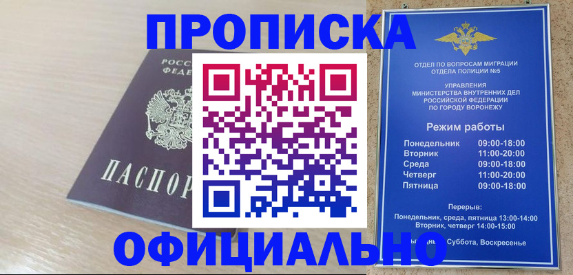 прописка в квартире в Фрязино